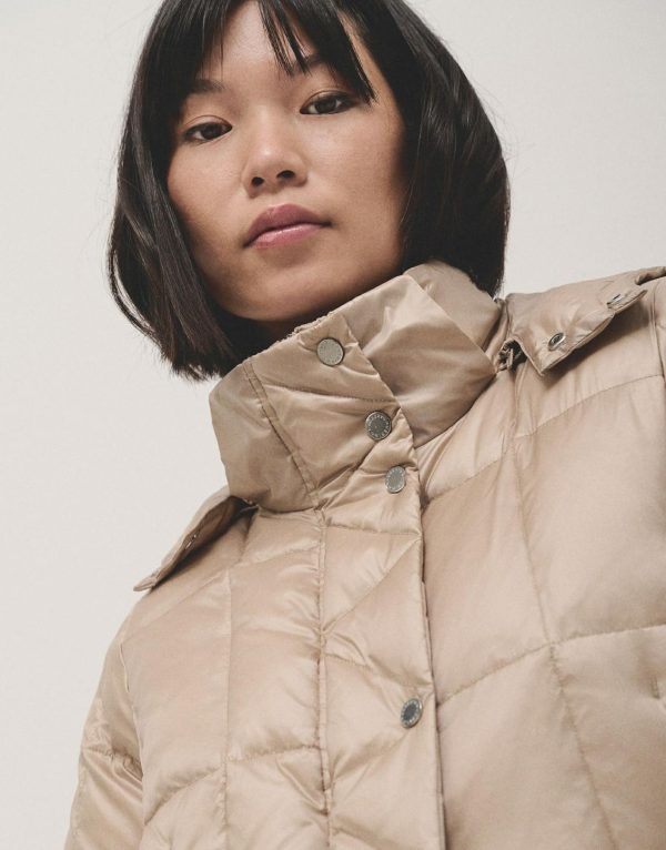 Bespokebound.shopd090310672 2