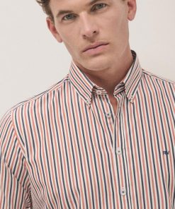 Bespokebound.shopdcbd509434 2